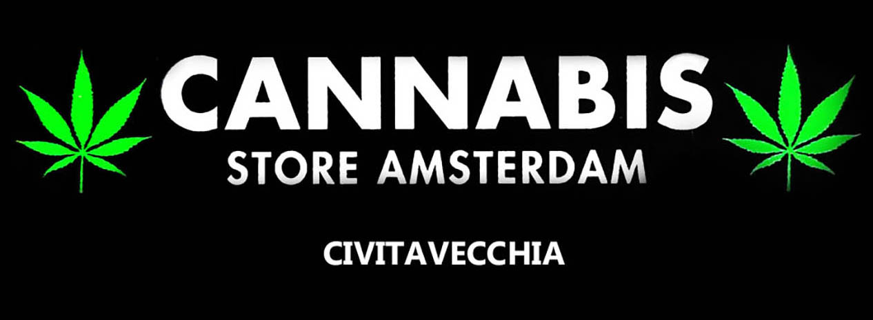 cannabis light Cannabis Store Amsterdam Civitavecchia